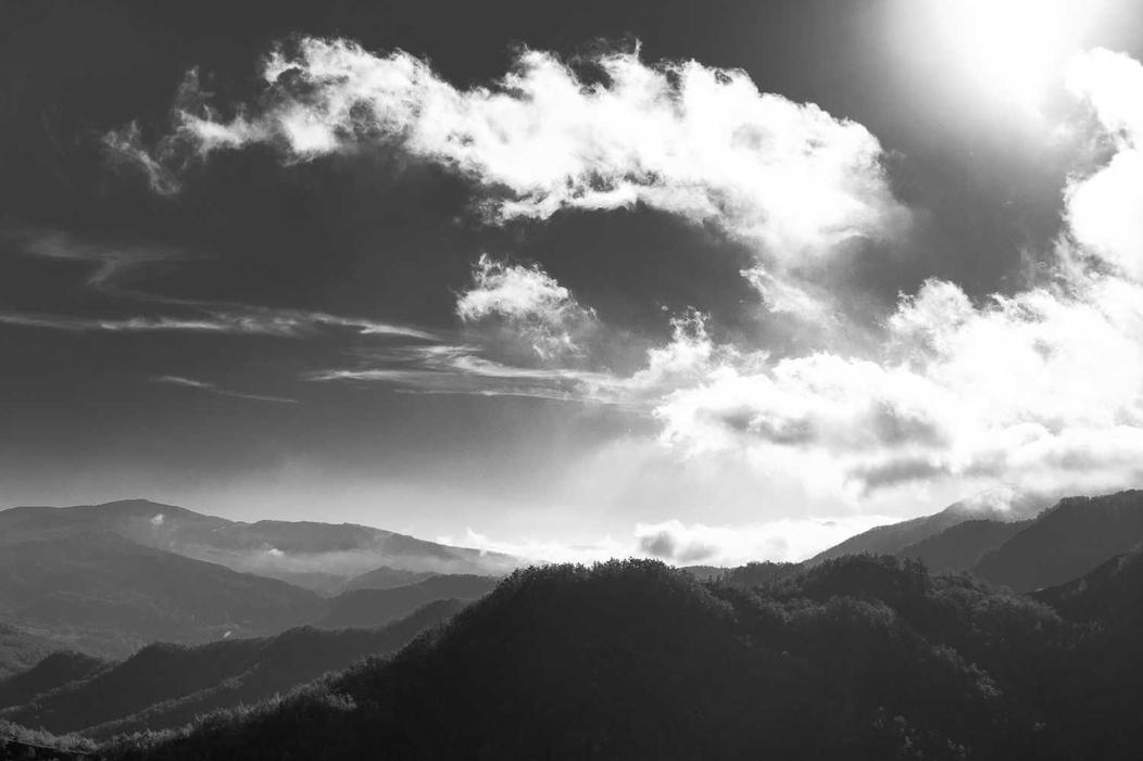 Occaecati est qui soluta